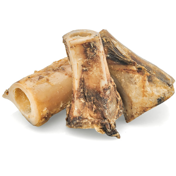 Is beef bone outlet marrow good for dogs